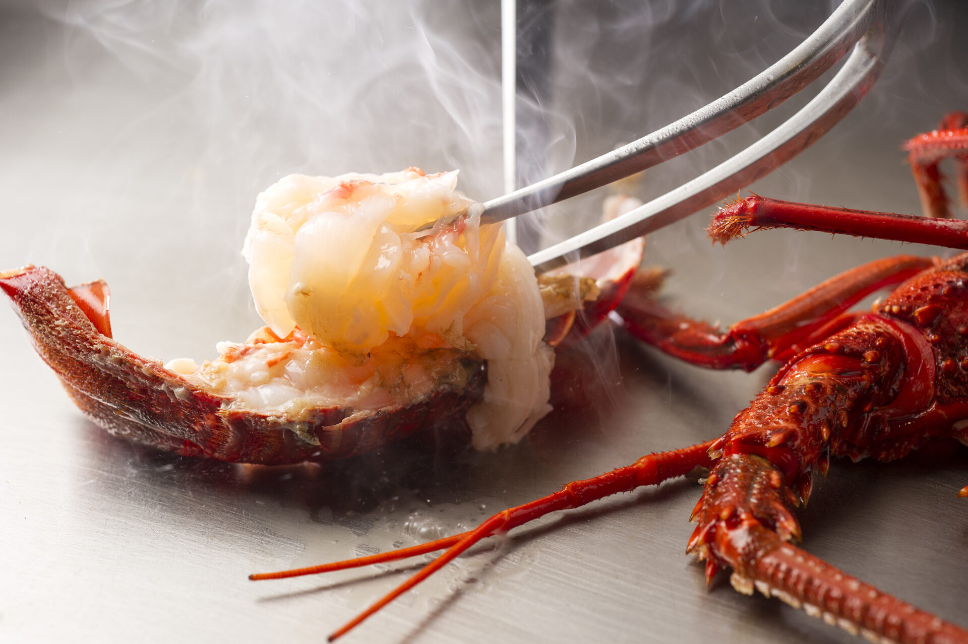 【鉄板焼 愛宕】五感で味わう極上の活伊勢海老が登場表示