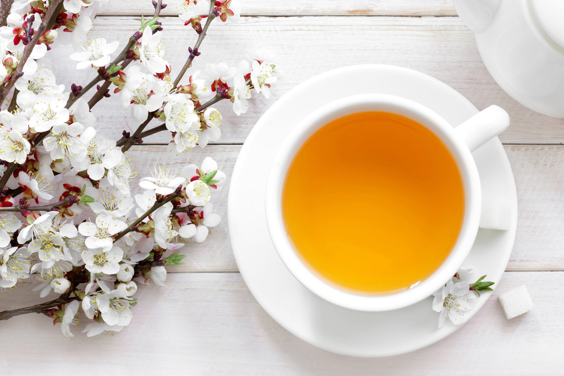 第13回ロンネフェルトティーセミナー ~“Spring Tea Bloom” 香りひらく紅茶の世界へ~