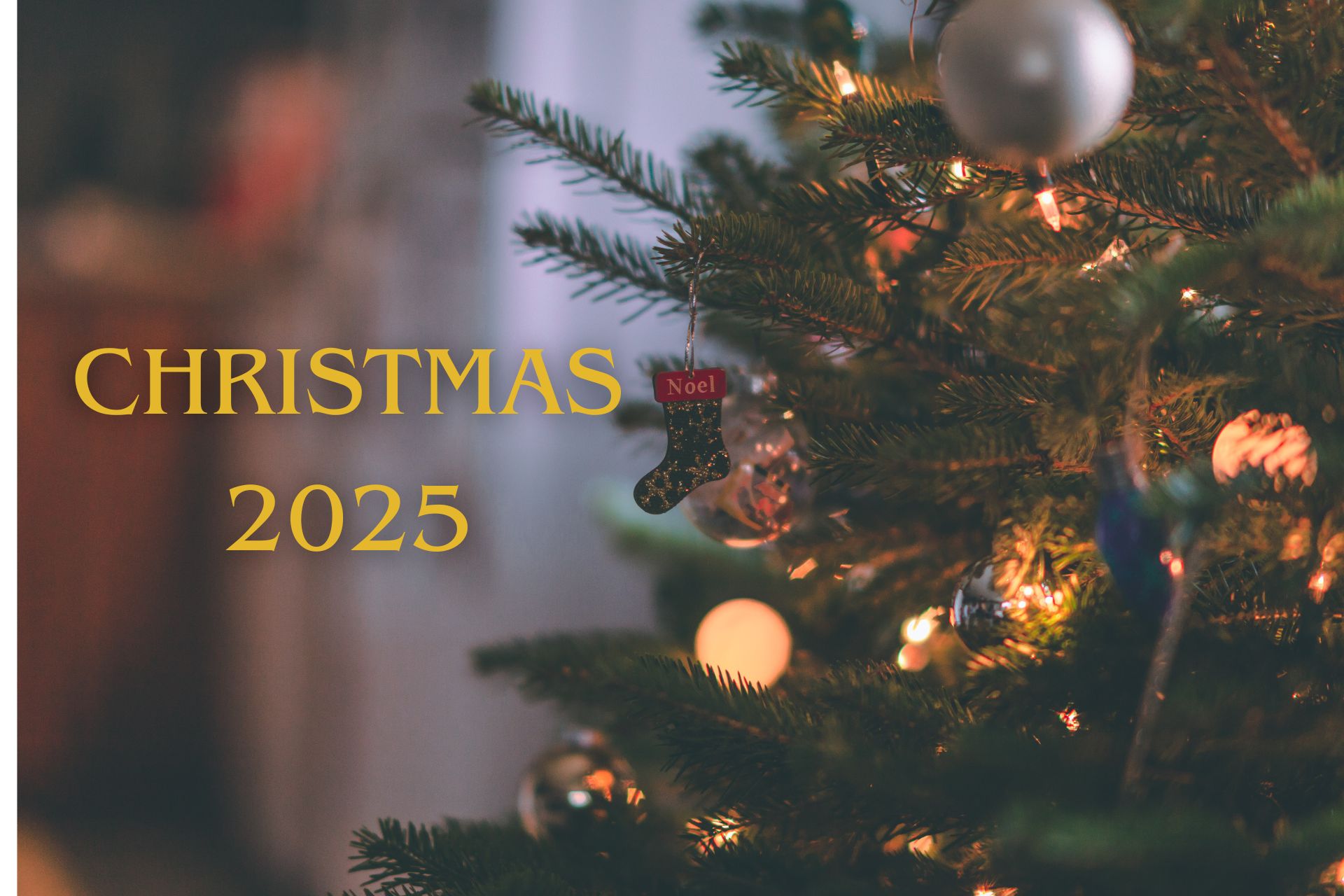 華やかな聖夜の饗宴   — CHRISTMAS MENU 2025 —