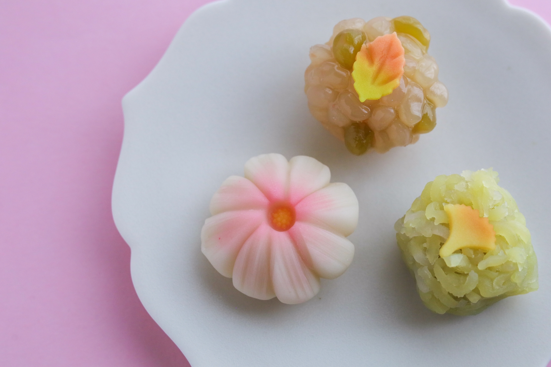 『妹背製菓×日本料理 雲海』和菓子作り体験と季節のランチ【2025.9.25(木)】